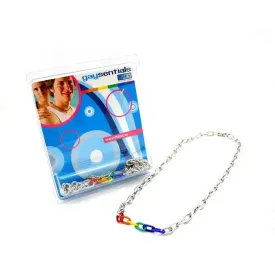 (wd) Rainbow & Silver Links Necklace 20 "